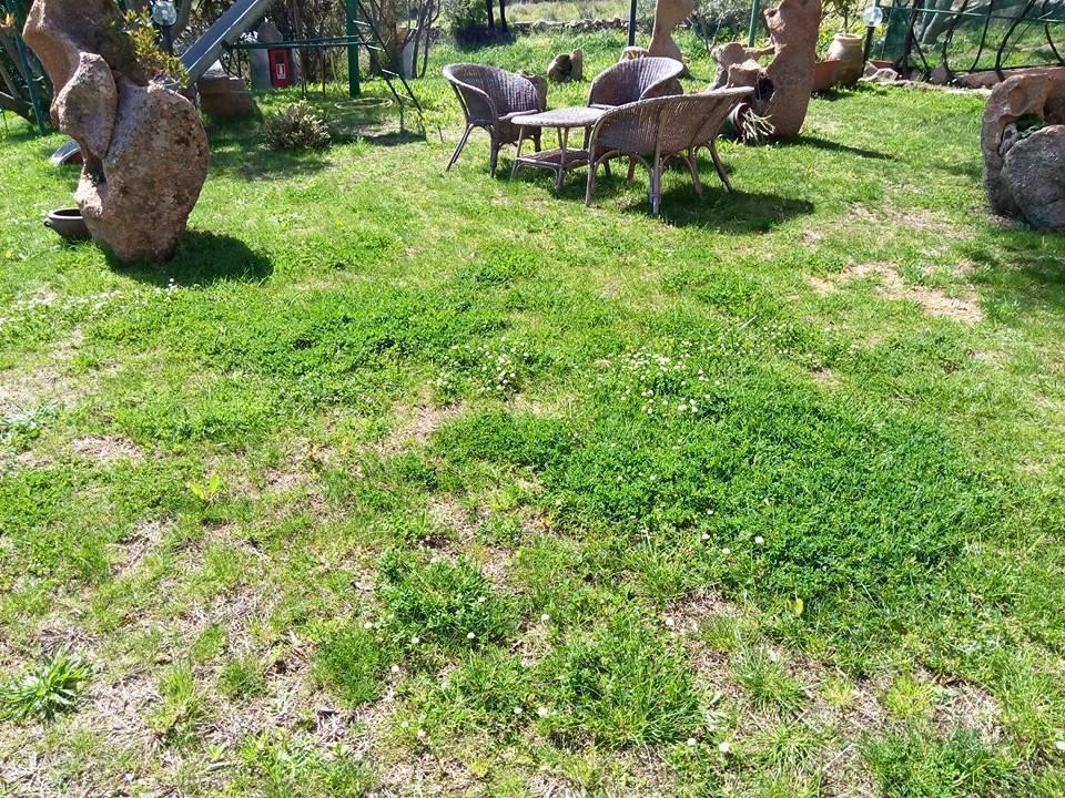 Bed And Breakfast Li Paduli Alvi Cannigione Rom bilde